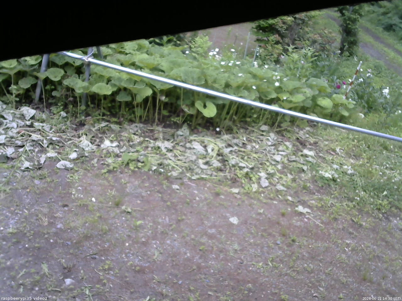 長野県菅平高原 ゆたか山荘 駐車場 2026/06/21 14:30