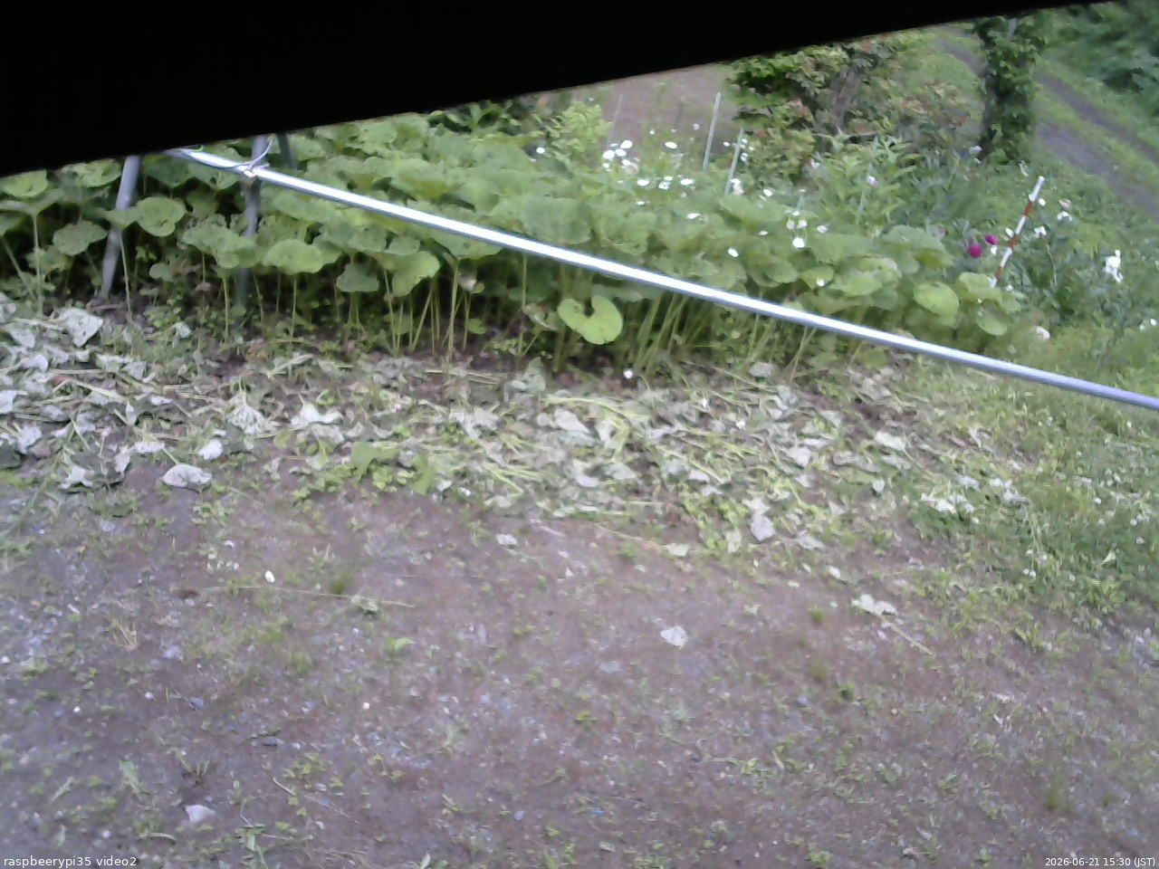 長野県菅平高原 ゆたか山荘 駐車場 2026/06/21 15:30