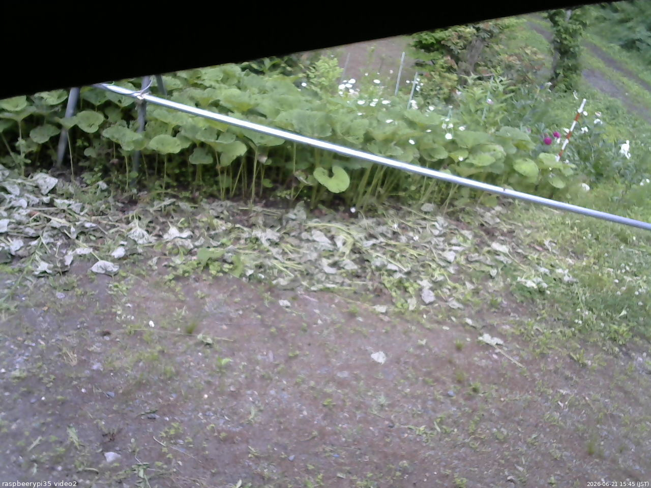 長野県菅平高原 ゆたか山荘 駐車場 2026/06/21 15:45