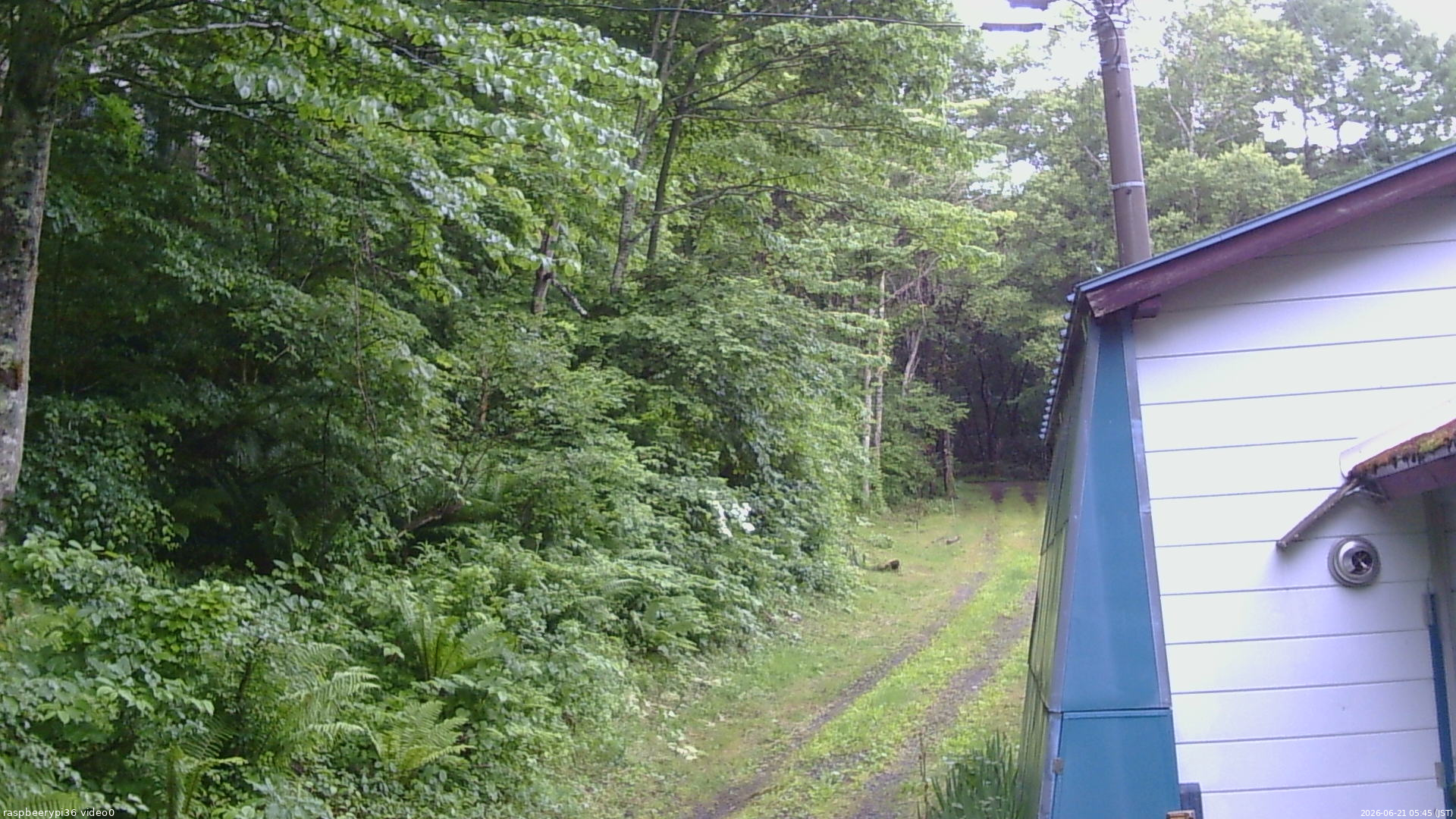 長野県菅平高原 ゆたか山荘 ゆたか山荘 2026/06/21 05:45