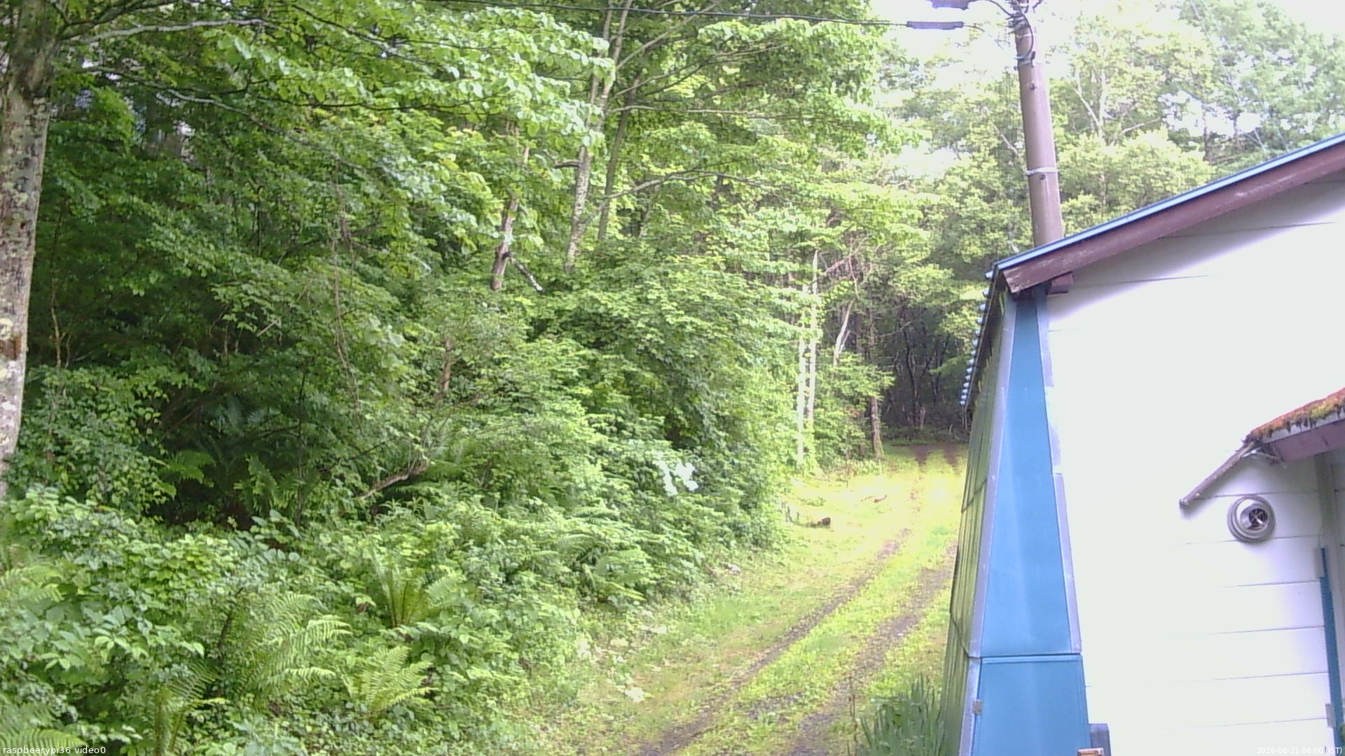 長野県菅平高原 ゆたか山荘 ゆたか山荘 2026/06/21 06:00