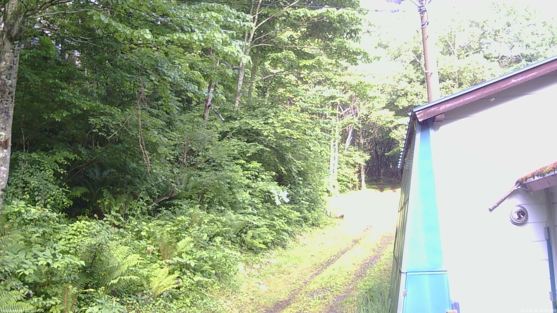 長野県菅平高原 ゆたか山荘 ゆたか山荘 2026/06/21 06:45