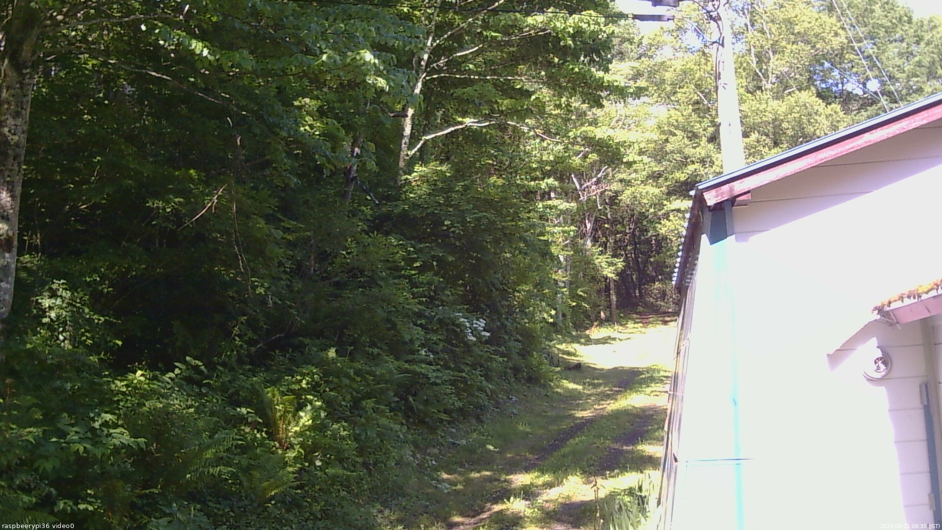 長野県菅平高原 ゆたか山荘 ゆたか山荘 2026/06/21 08:30