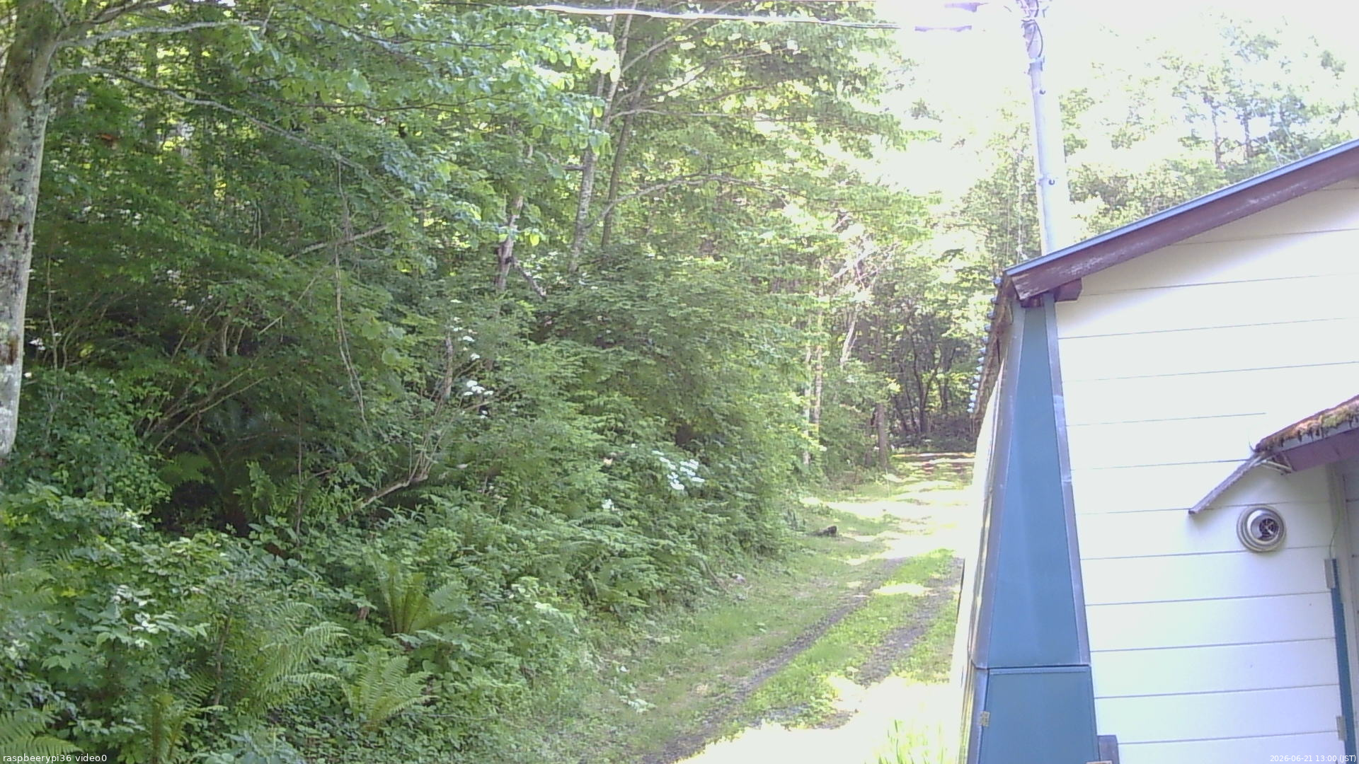 長野県菅平高原 ゆたか山荘 ゆたか山荘 2026/06/21 13:00
