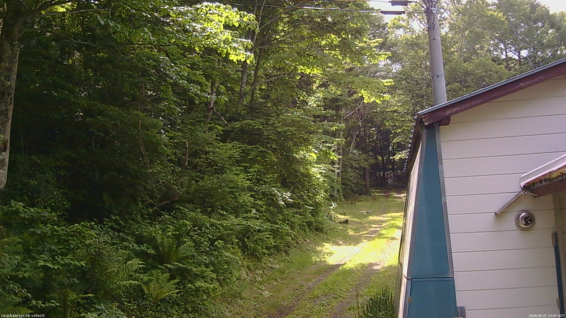 長野県菅平高原 ゆたか山荘 ゆたか山荘 2026/06/21 14:45