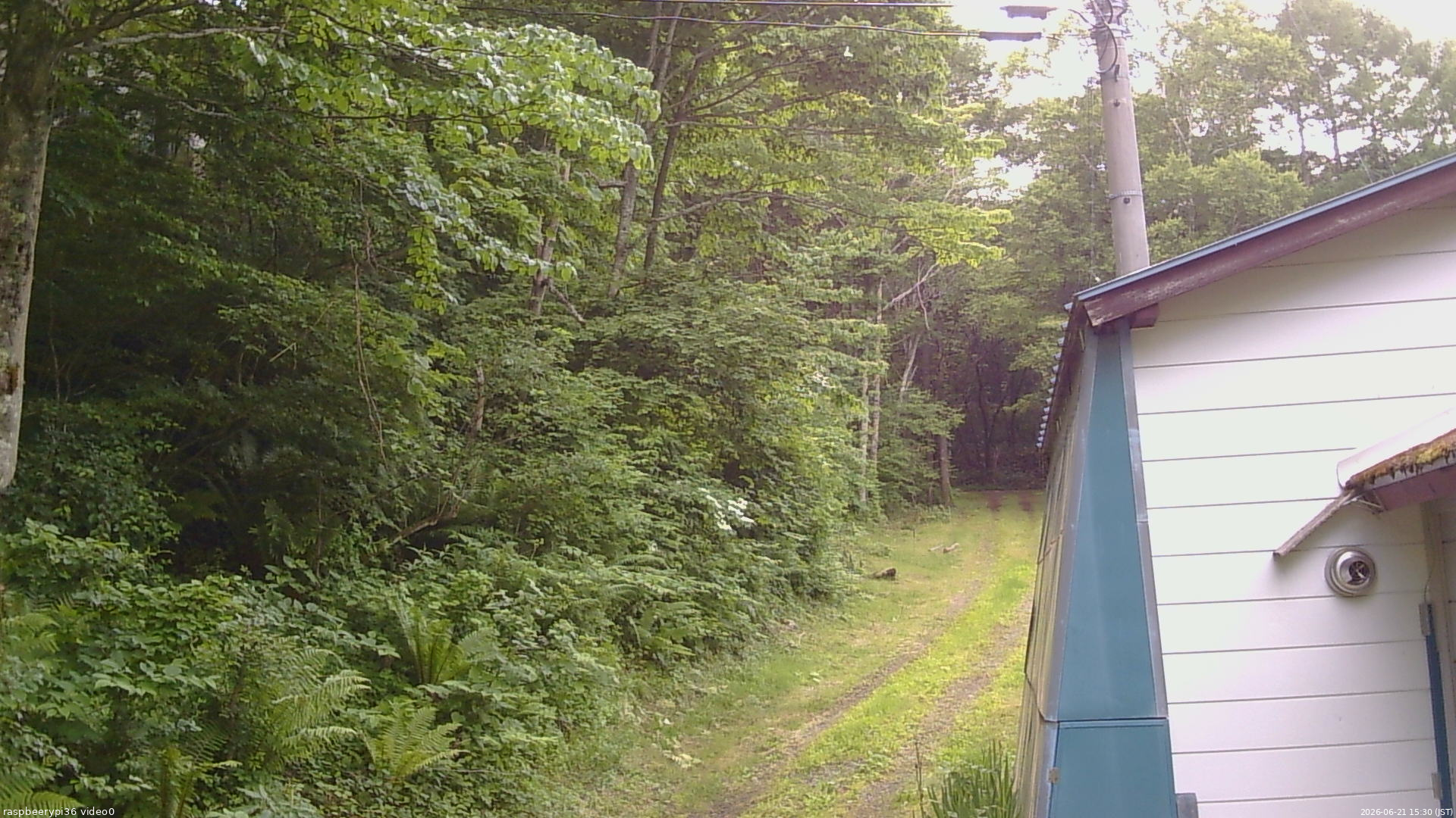 長野県菅平高原 ゆたか山荘 ゆたか山荘 2026/06/21 15:30
