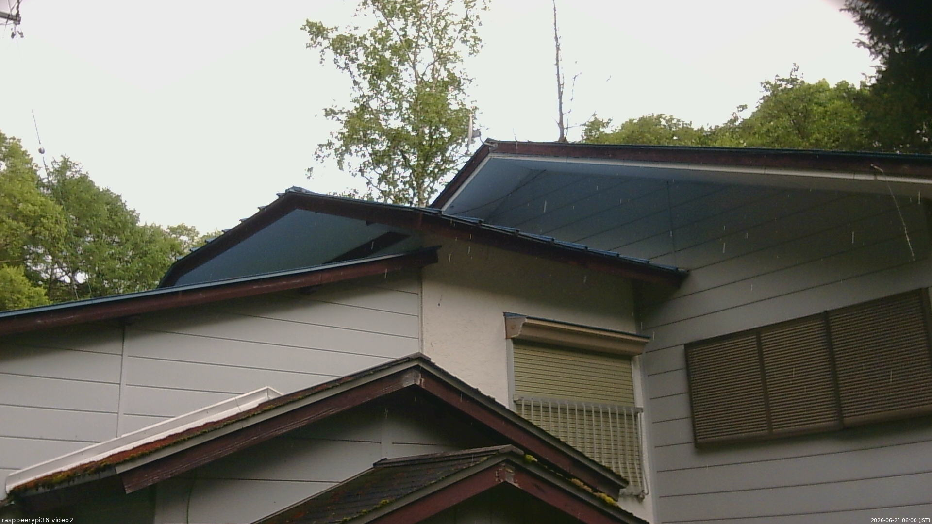 長野県菅平高原 ゆたか山荘 駐車場奥 2026/06/21 06:00