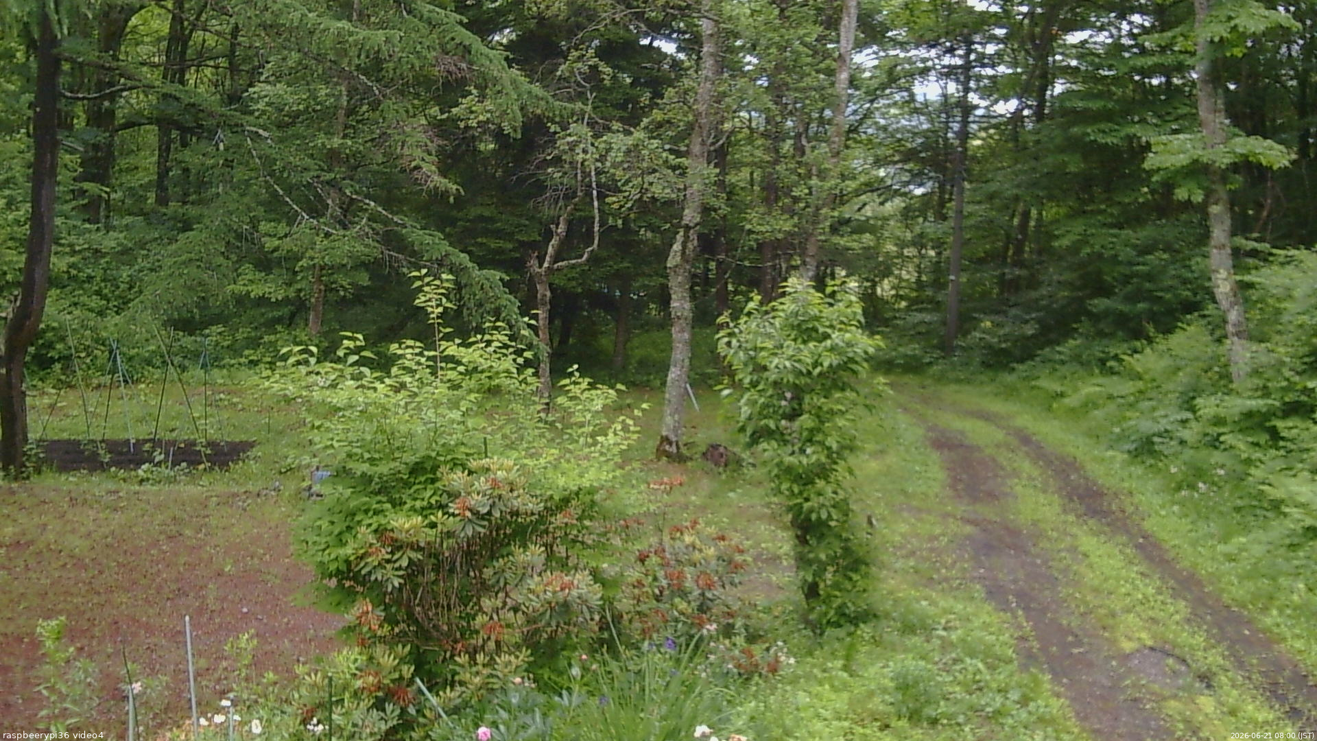 長野県菅平高原 ゆたか山荘 坂上 2026/06/21 08:00