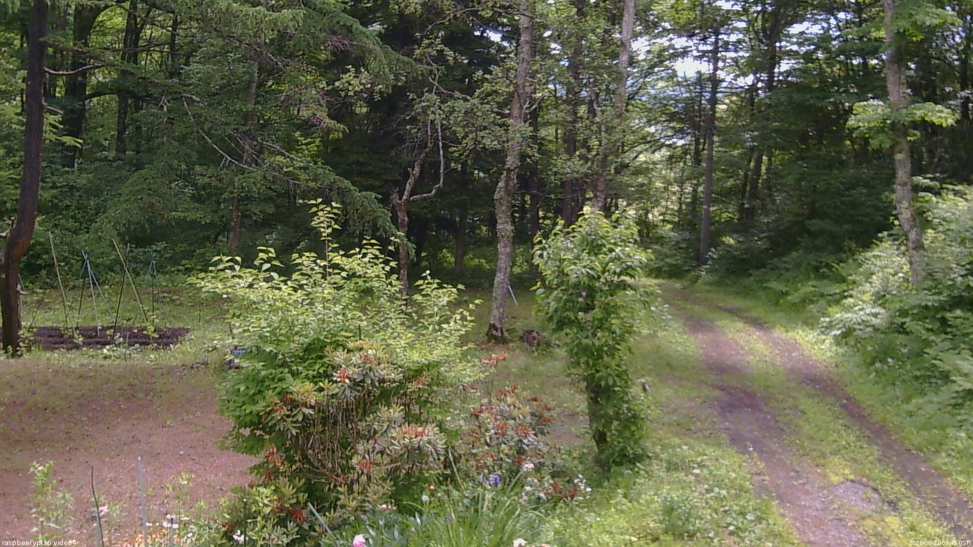 長野県菅平高原 ゆたか山荘 坂上 2026/06/21 09:45