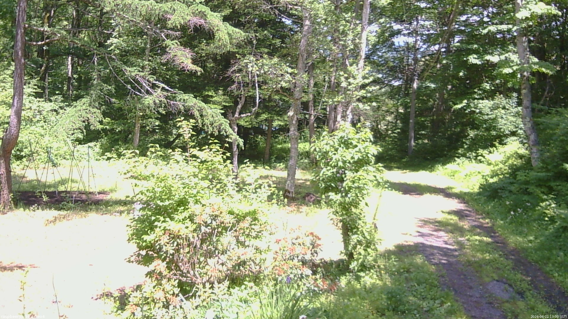 長野県菅平高原 ゆたか山荘 坂上 2026/06/21 13:00