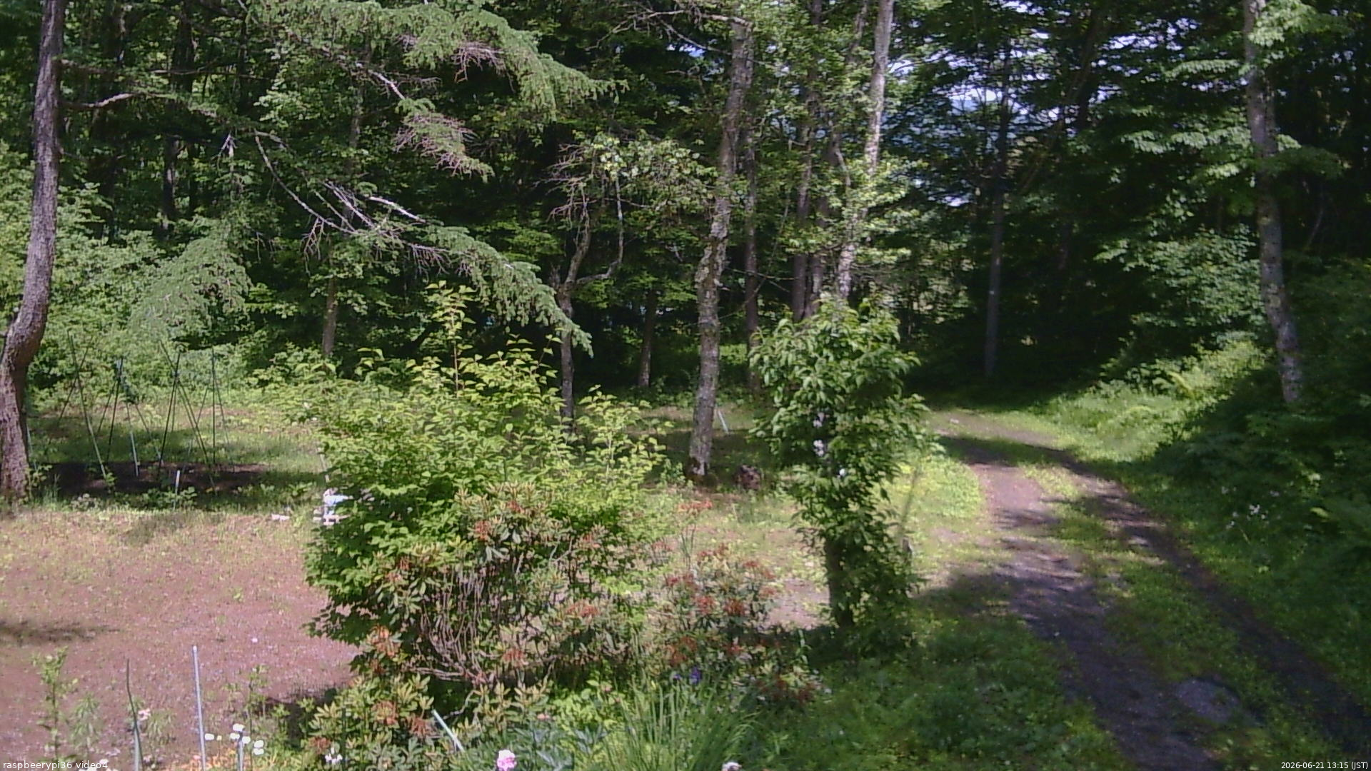 長野県菅平高原 ゆたか山荘 坂上 2026/06/21 13:15
