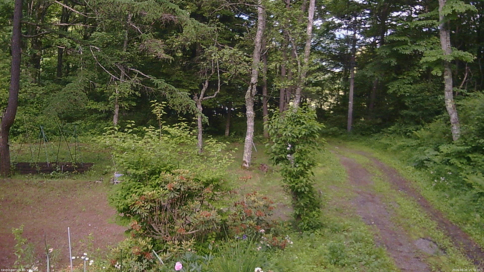 長野県菅平高原 ゆたか山荘 坂上 2026/06/21 15:30