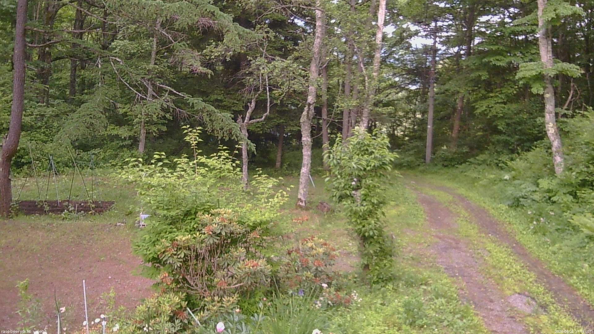 長野県菅平高原 ゆたか山荘 坂上 2026/06/21 17:45
