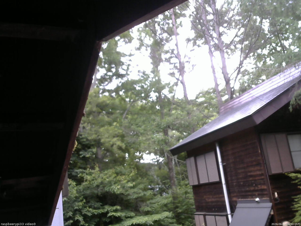 長野県菅平高原 ゆたか山荘 北側 2026/06/22 06:30