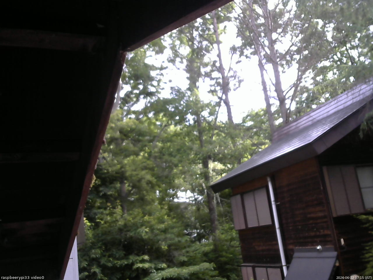 長野県菅平高原 ゆたか山荘 北側 2026/06/22 07:15