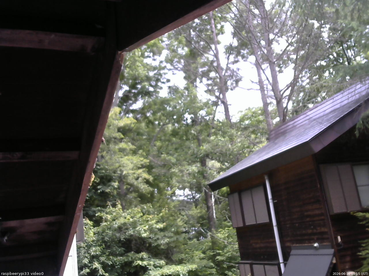 長野県菅平高原 ゆたか山荘 北側 2026/06/22 10:15
