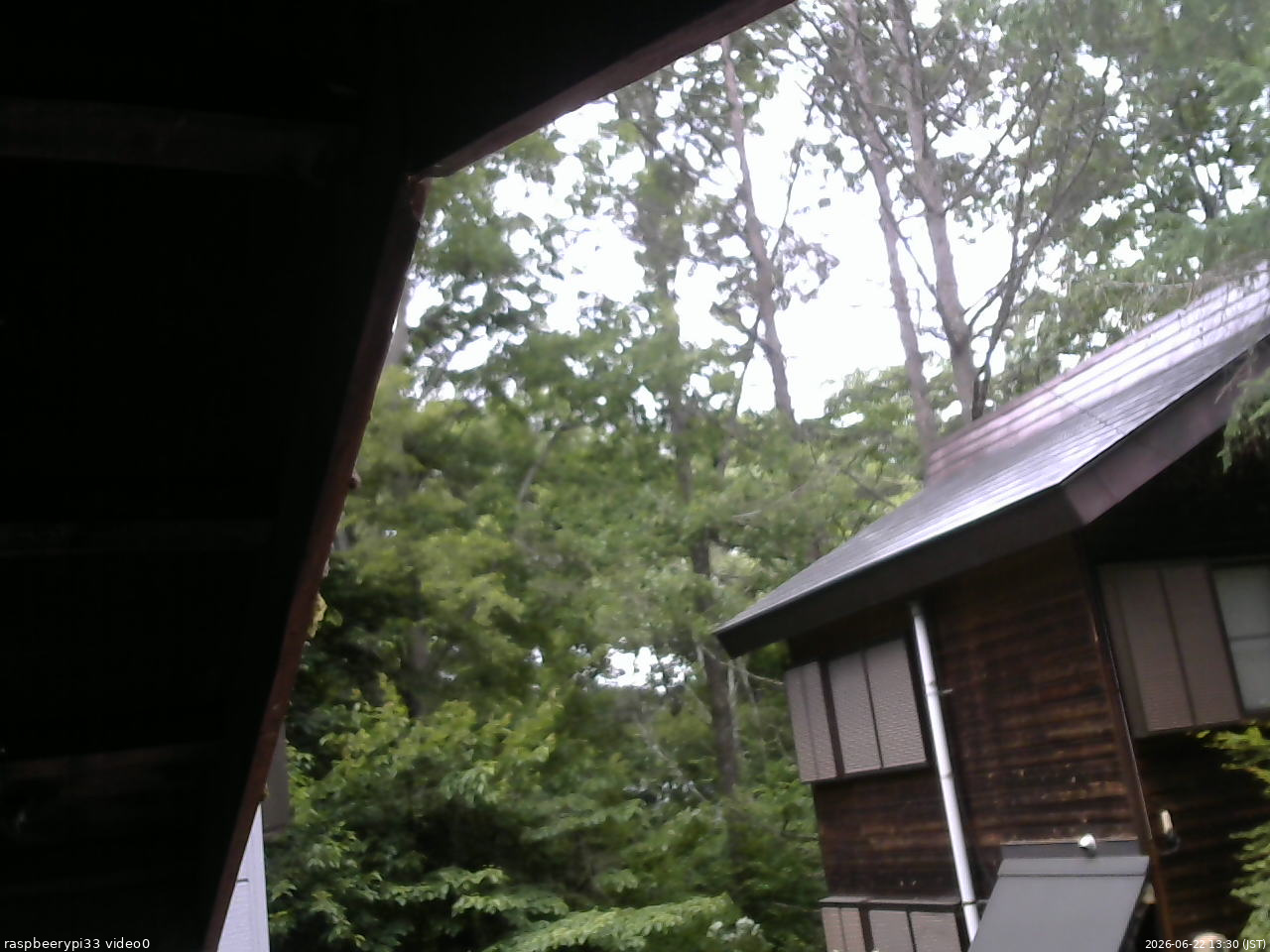 長野県菅平高原 ゆたか山荘 北側 2026/06/22 13:30