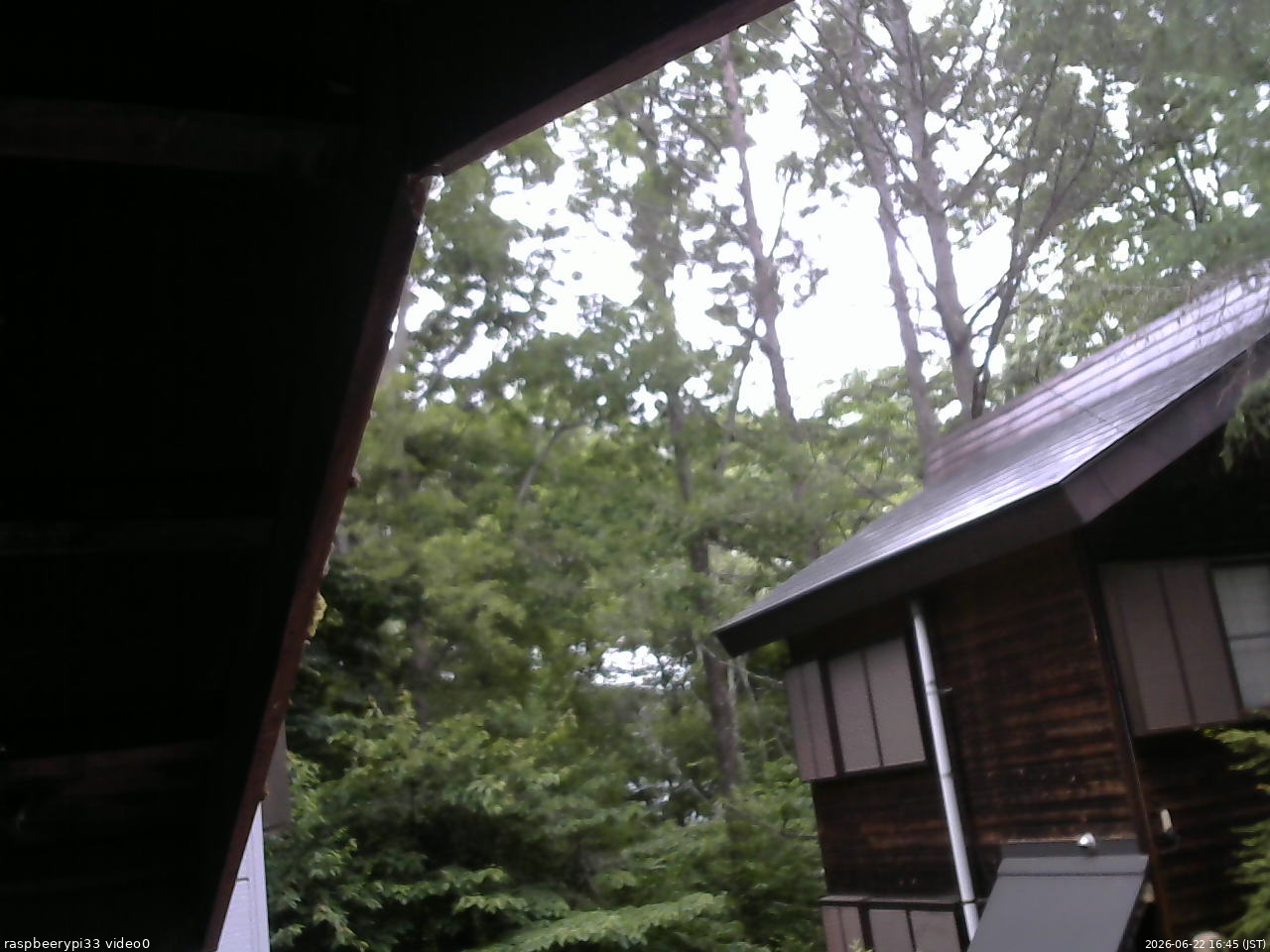 長野県菅平高原 ゆたか山荘 北側 2026/06/22 16:45