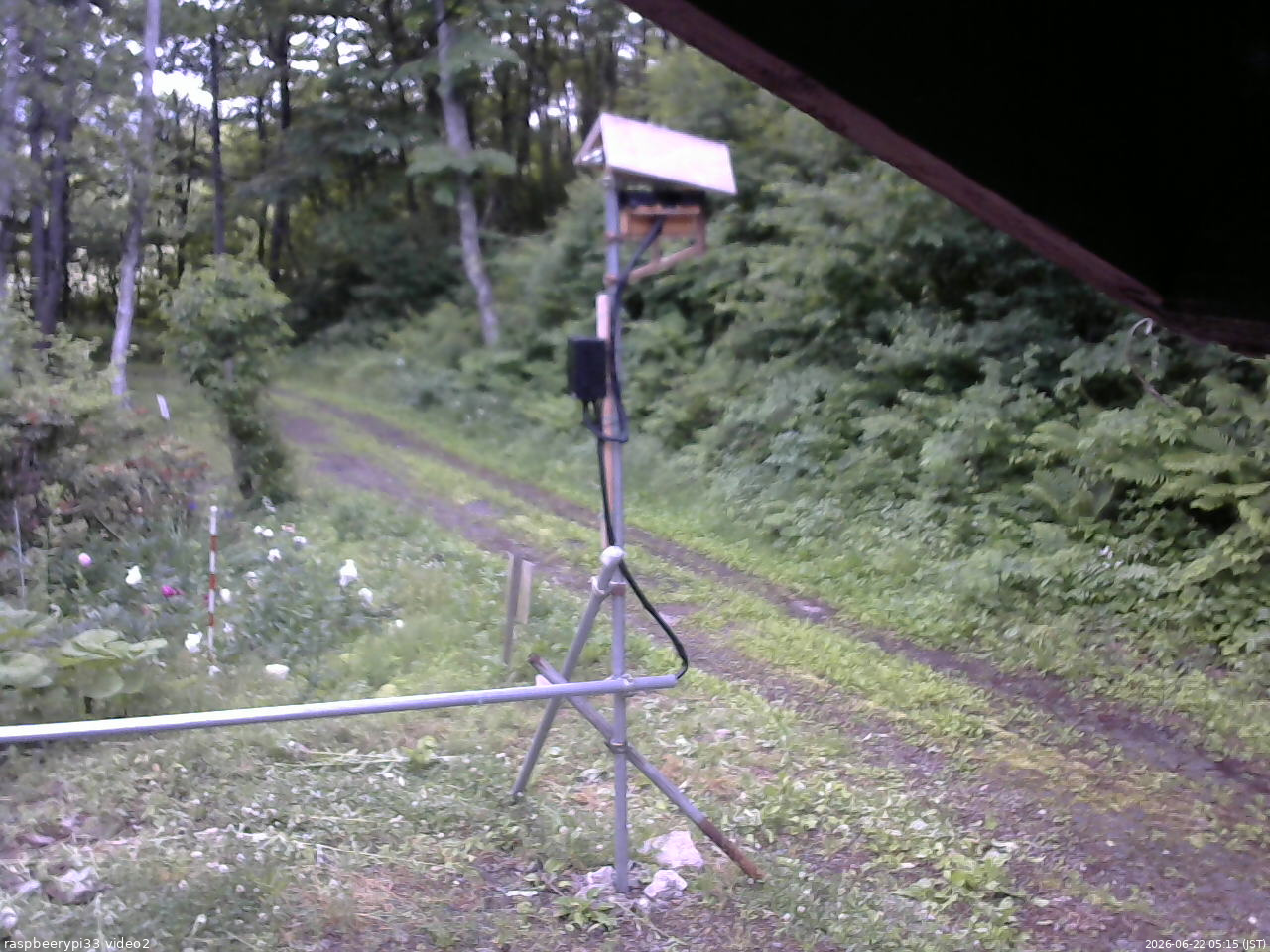長野県菅平高原 ゆたか山荘 南側 2026/06/22 05:15