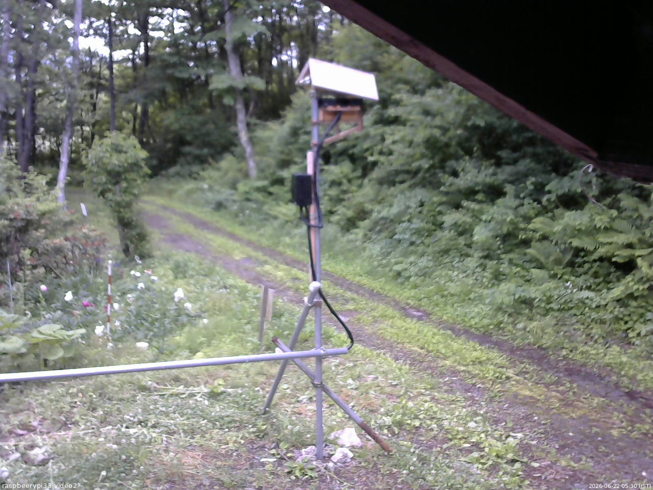 長野県菅平高原 ゆたか山荘 南側 2026/06/22 05:30