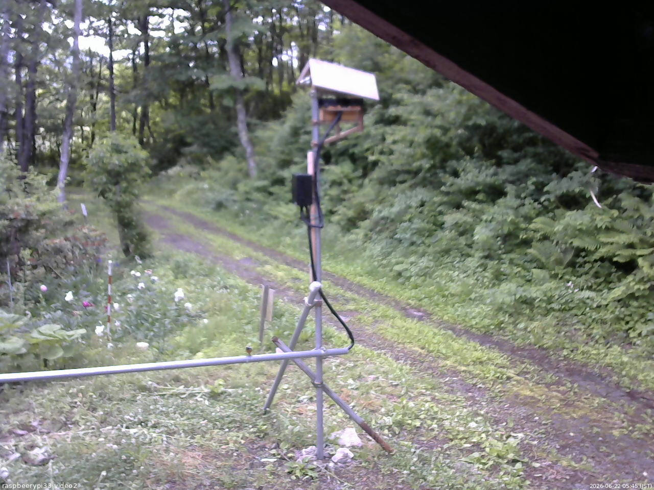 長野県菅平高原 ゆたか山荘 南側 2026/06/22 05:45