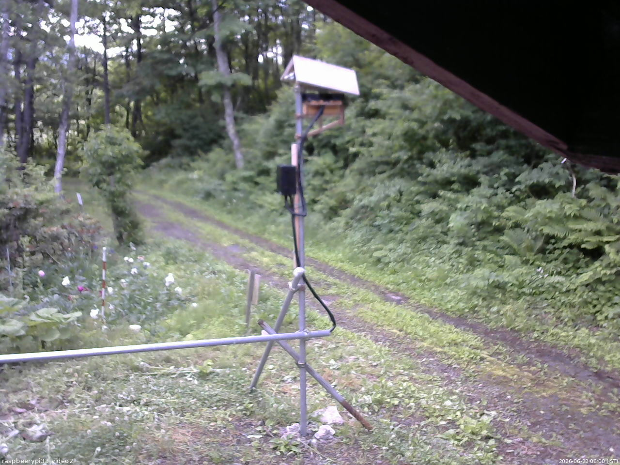 長野県菅平高原 ゆたか山荘 南側 2026/06/22 06:00