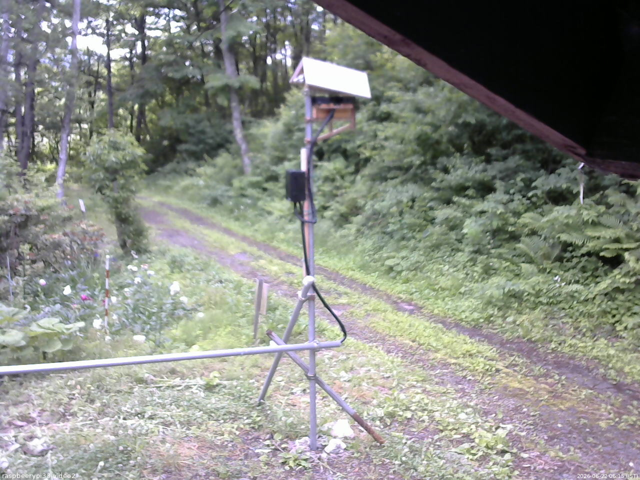 長野県菅平高原 ゆたか山荘 南側 2026/06/22 06:15