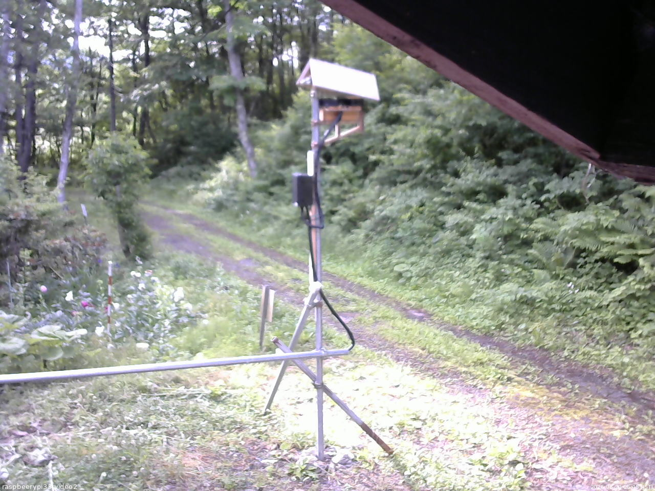 長野県菅平高原 ゆたか山荘 南側 2026/06/22 06:45