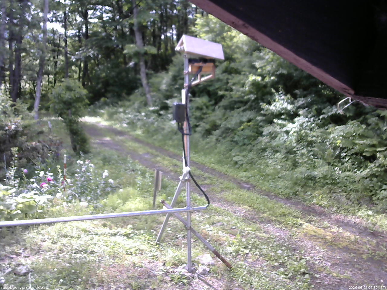 長野県菅平高原 ゆたか山荘 南側 2026/06/22 07:30