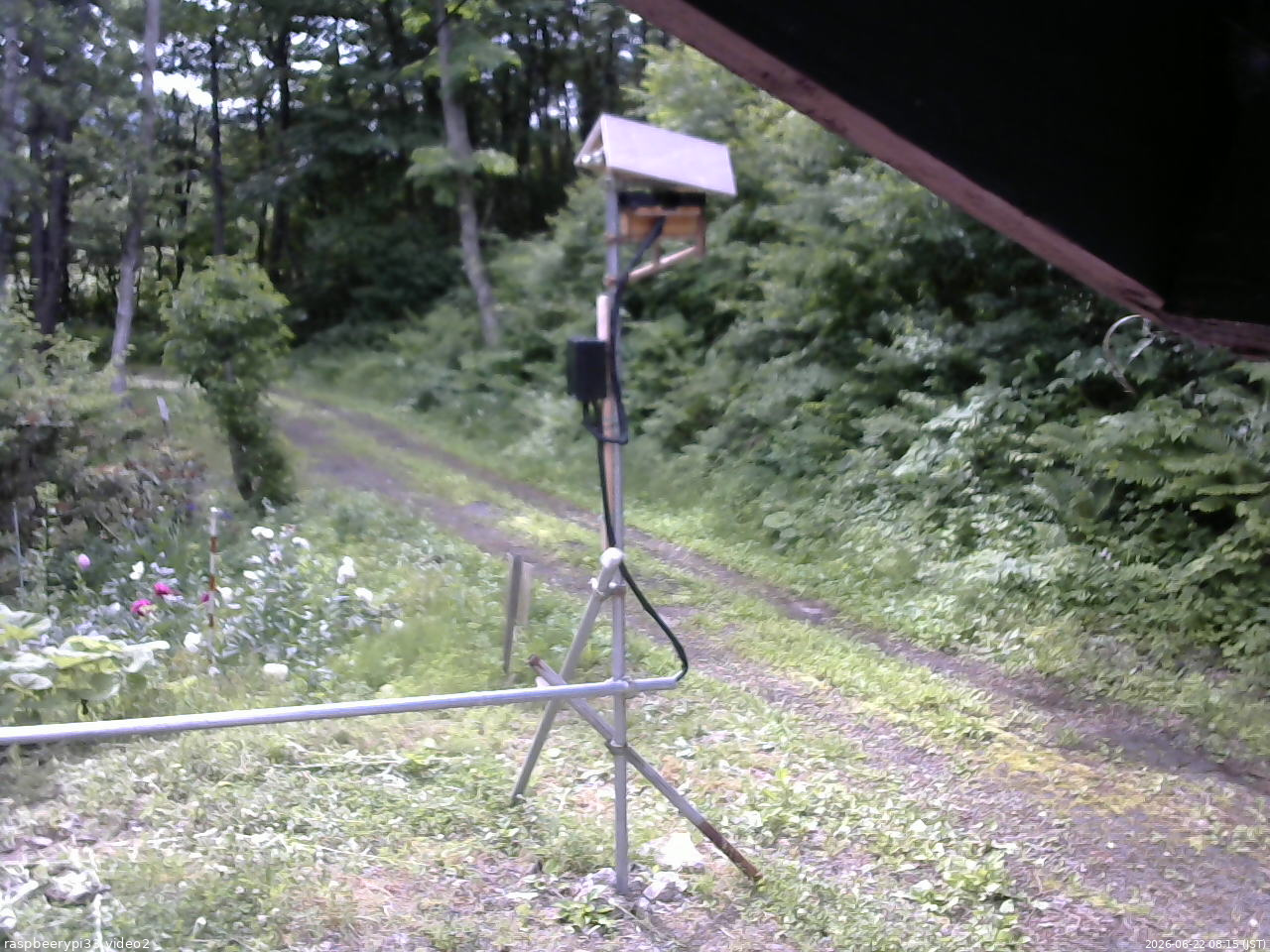 長野県菅平高原 ゆたか山荘 南側 2026/06/22 08:15