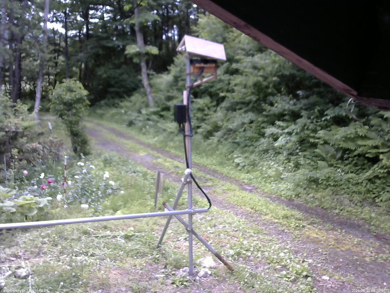 長野県菅平高原 ゆたか山荘 南側 2026/06/22 08:30