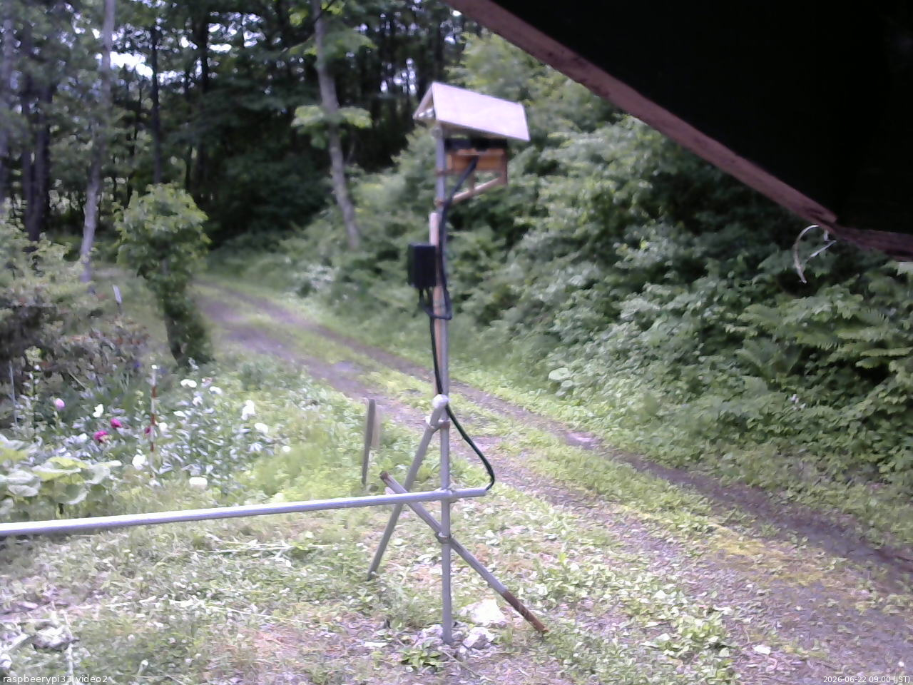 長野県菅平高原 ゆたか山荘 南側 2026/06/22 09:00