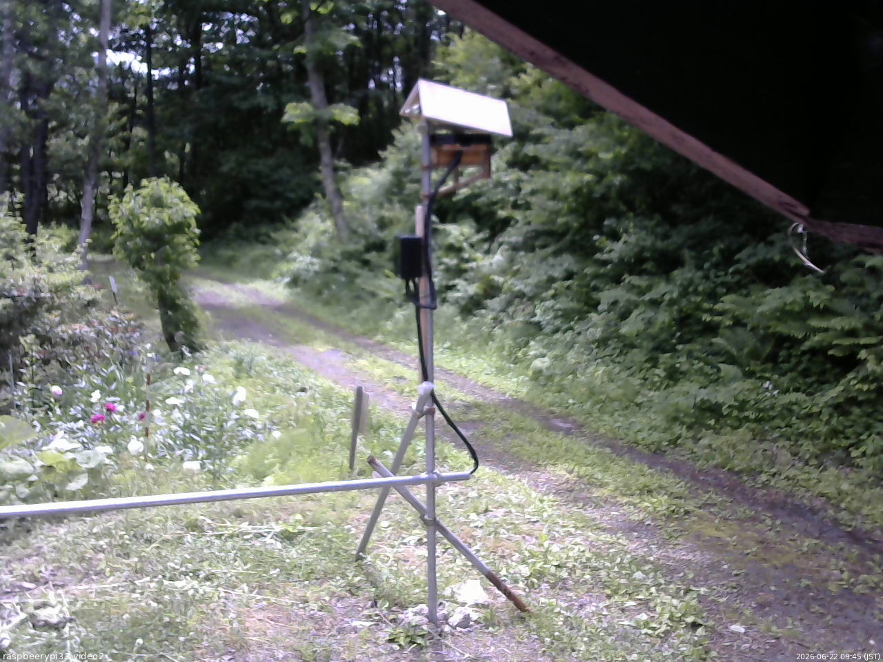 長野県菅平高原 ゆたか山荘 南側 2026/06/22 09:45