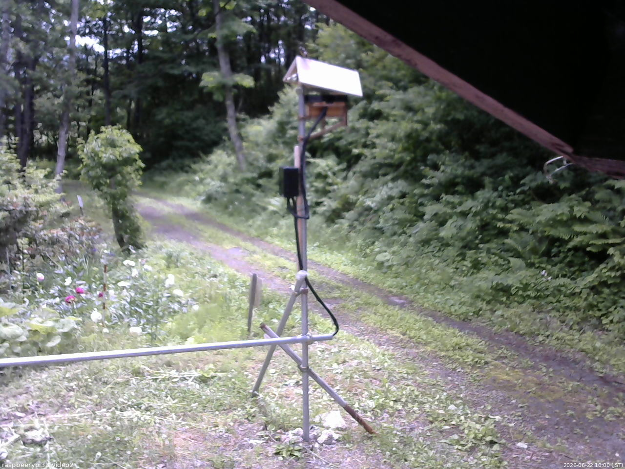 長野県菅平高原 ゆたか山荘 南側 2026/06/22 10:00