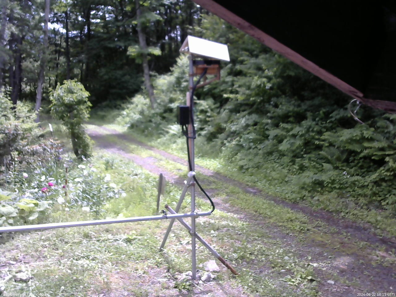 長野県菅平高原 ゆたか山荘 南側 2026/06/22 10:15