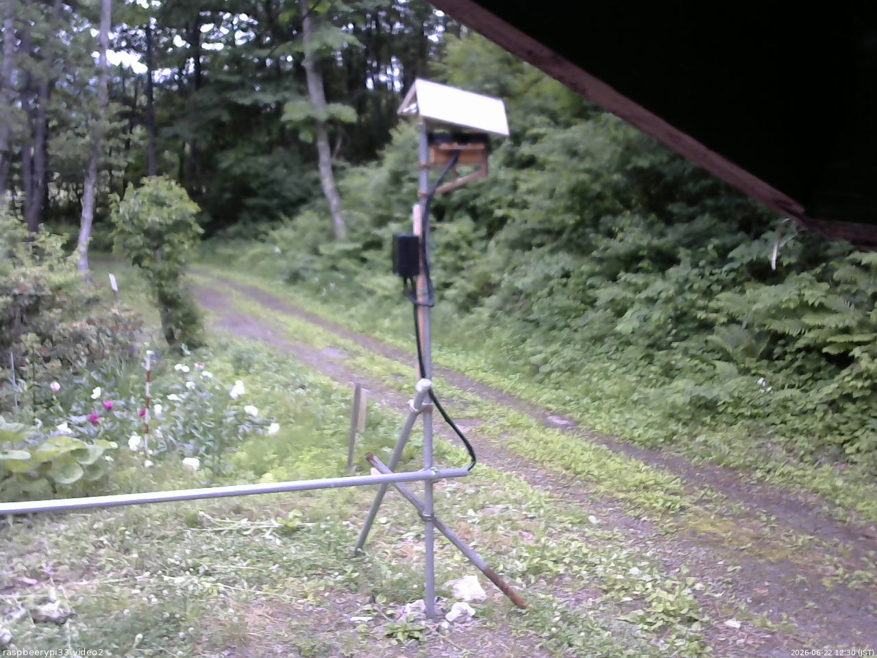 長野県菅平高原 ゆたか山荘 南側 2026/06/22 12:30