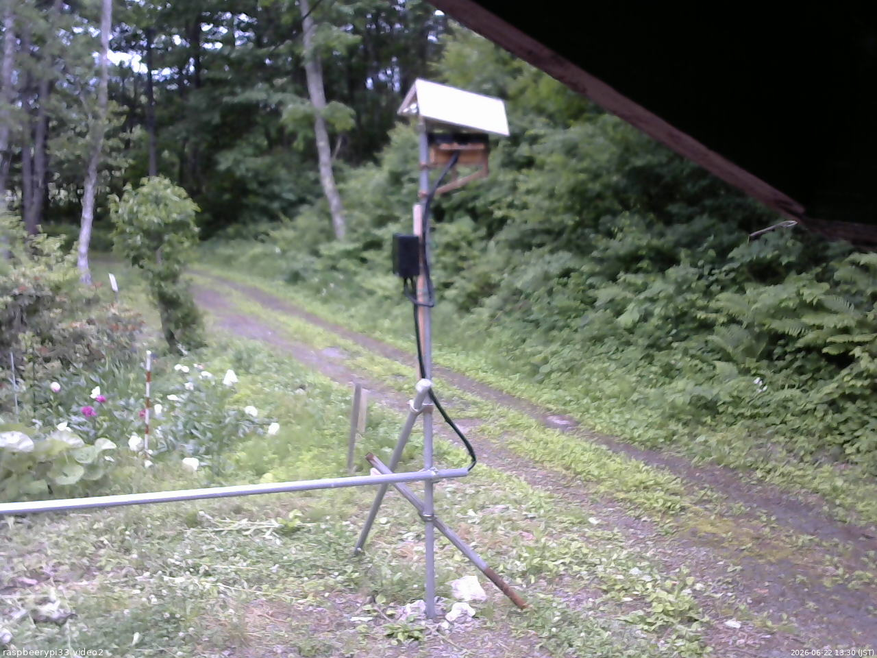 長野県菅平高原 ゆたか山荘 南側 2026/06/22 13:30