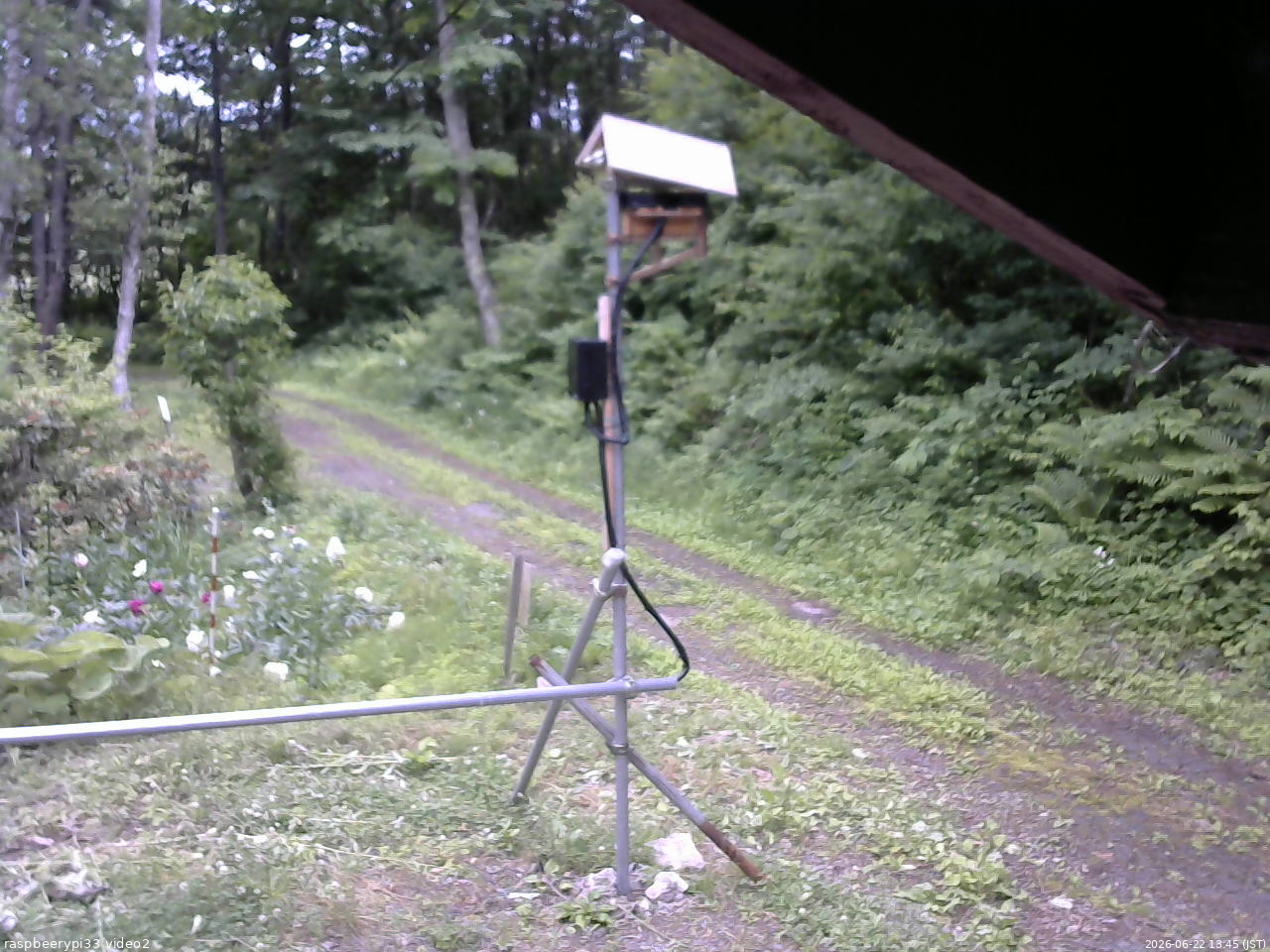 長野県菅平高原 ゆたか山荘 南側 2026/06/22 13:45