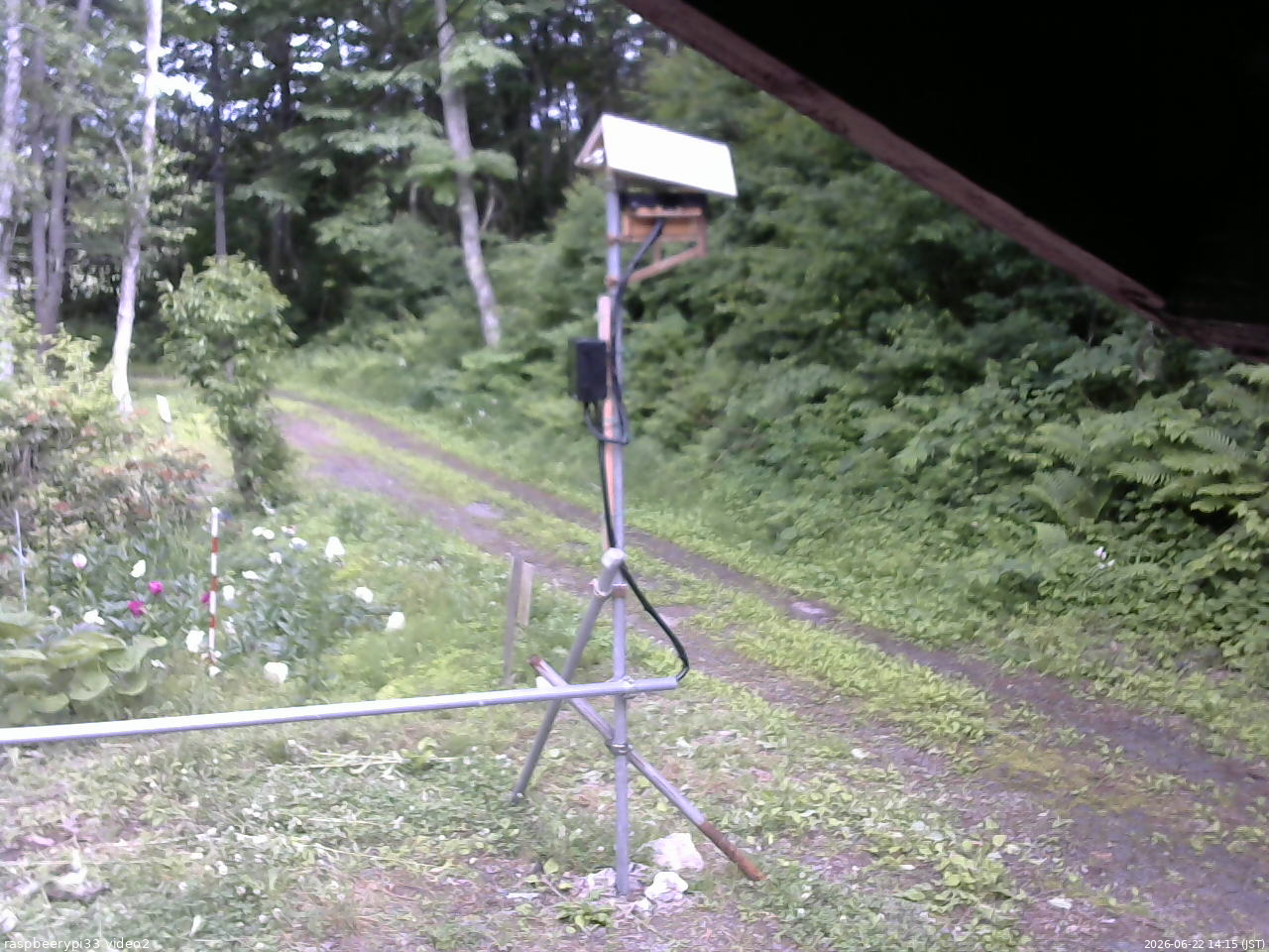 長野県菅平高原 ゆたか山荘 南側 2026/06/22 14:15