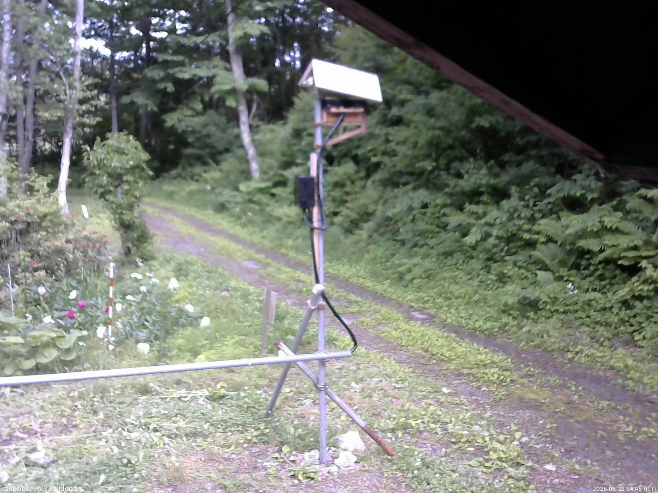 長野県菅平高原 ゆたか山荘 南側 2026/06/22 14:45