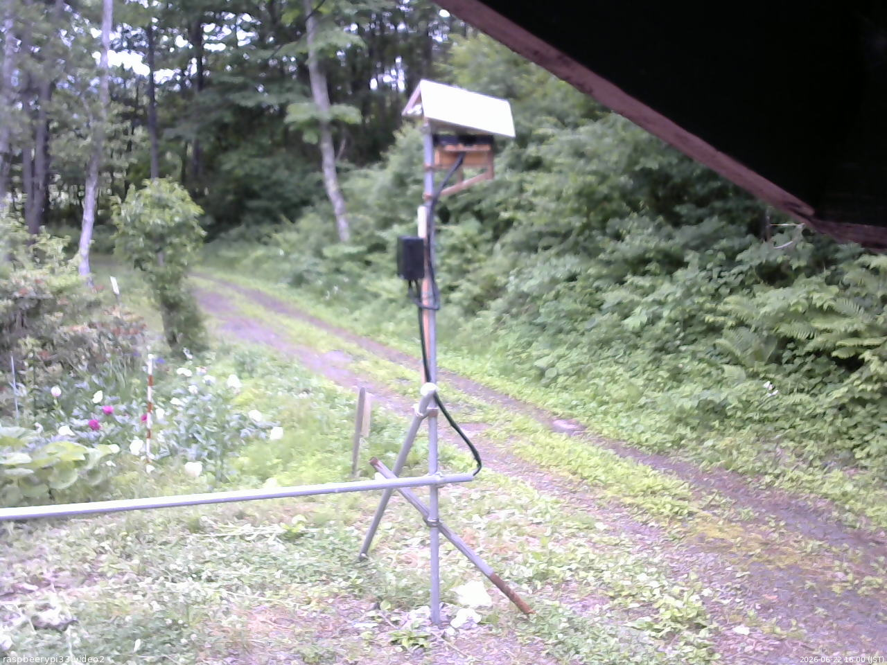 長野県菅平高原 ゆたか山荘 南側 2026/06/22 16:00