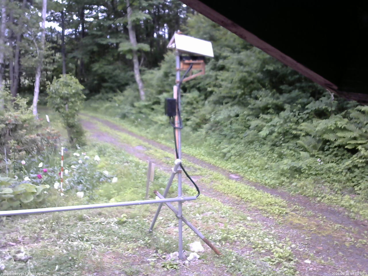 長野県菅平高原 ゆたか山荘 南側 2026/06/22 17:00
