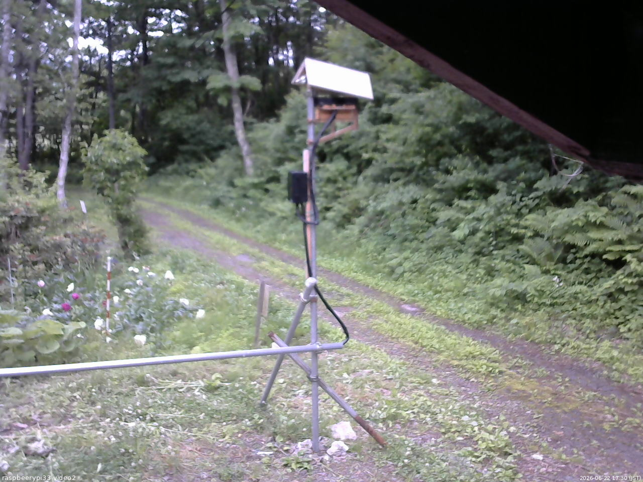 長野県菅平高原 ゆたか山荘 南側 2026/06/22 17:30