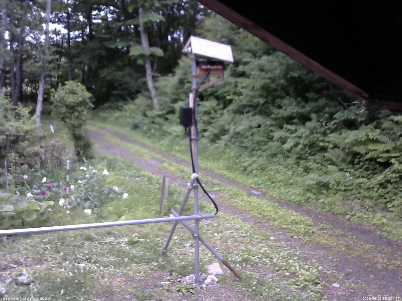 長野県菅平高原 ゆたか山荘 南側 2026/06/22 18:00