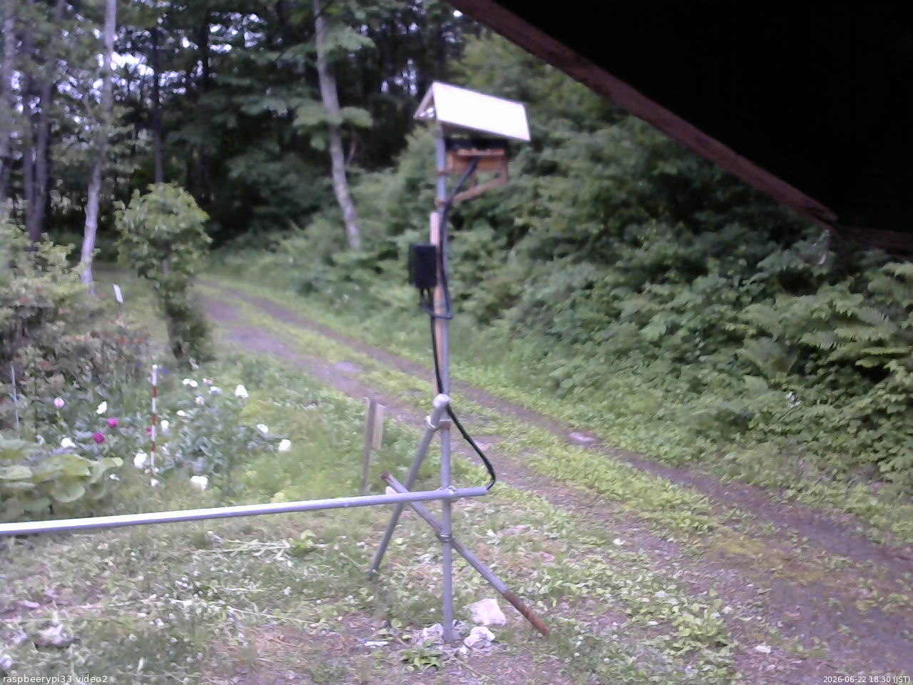 長野県菅平高原 ゆたか山荘 南側 2026/06/22 18:30