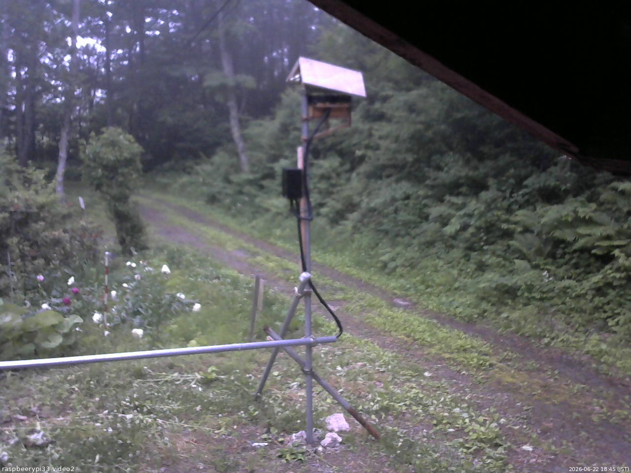 長野県菅平高原 ゆたか山荘 南側 2026/06/22 18:45