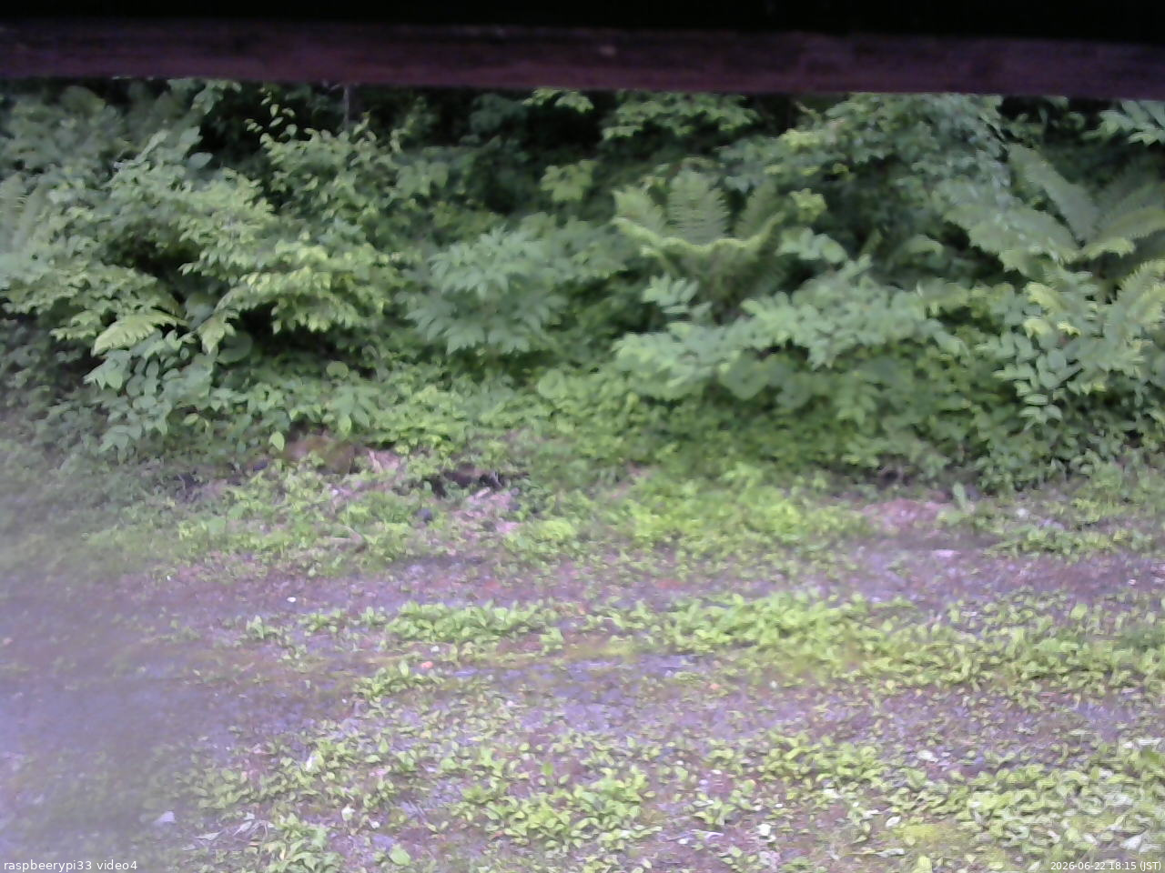 長野県菅平高原 ゆたか山荘 東側(坂下) 2026/06/22 18:15