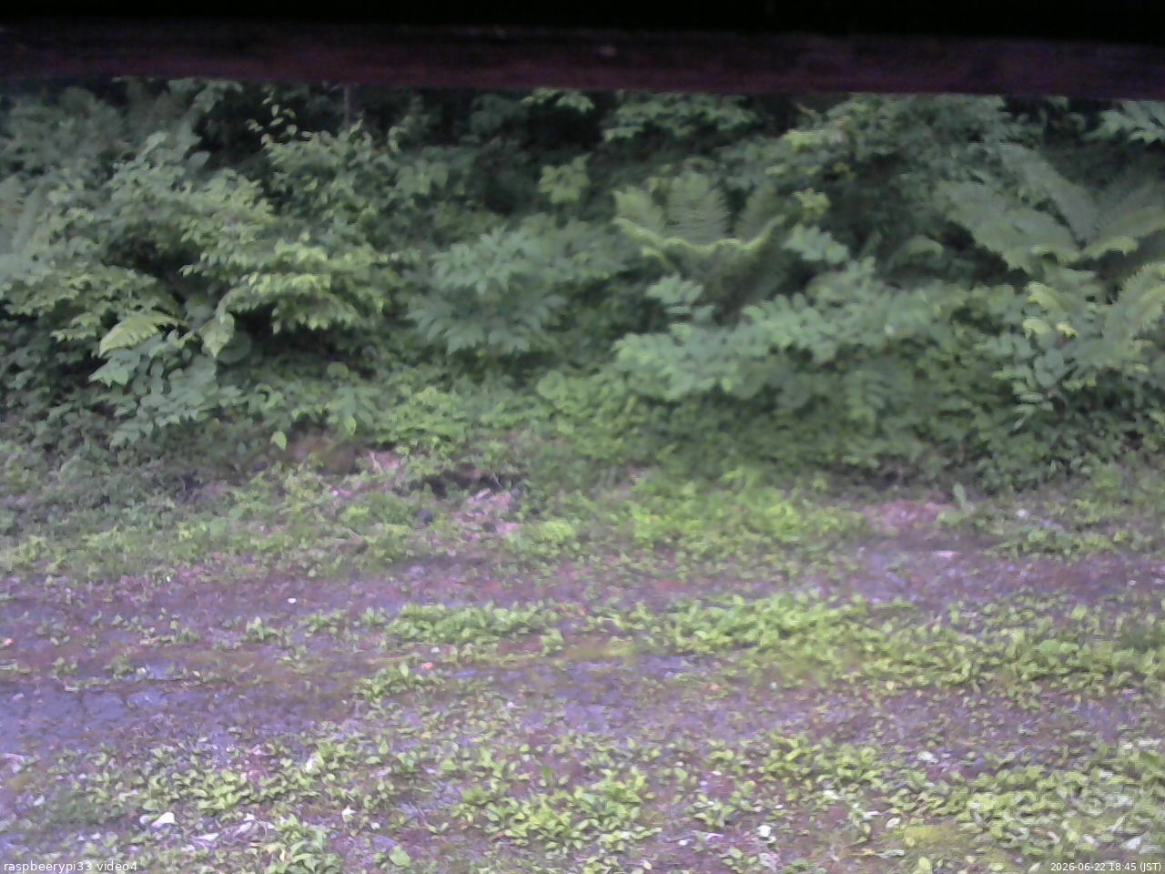 長野県菅平高原 ゆたか山荘 東側(坂下) 2026/06/22 18:45