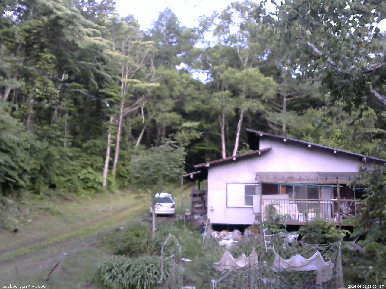 長野県菅平高原 ゆたか山荘 西側(坂上) 2026/06/22 05:00