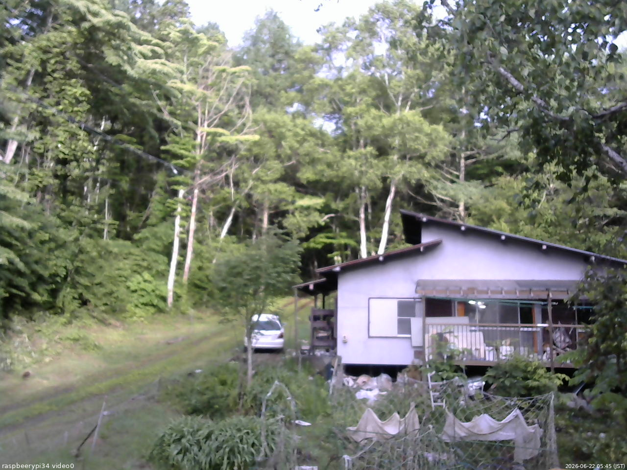 長野県菅平高原 ゆたか山荘 西側(坂上) 2026/06/22 05:45